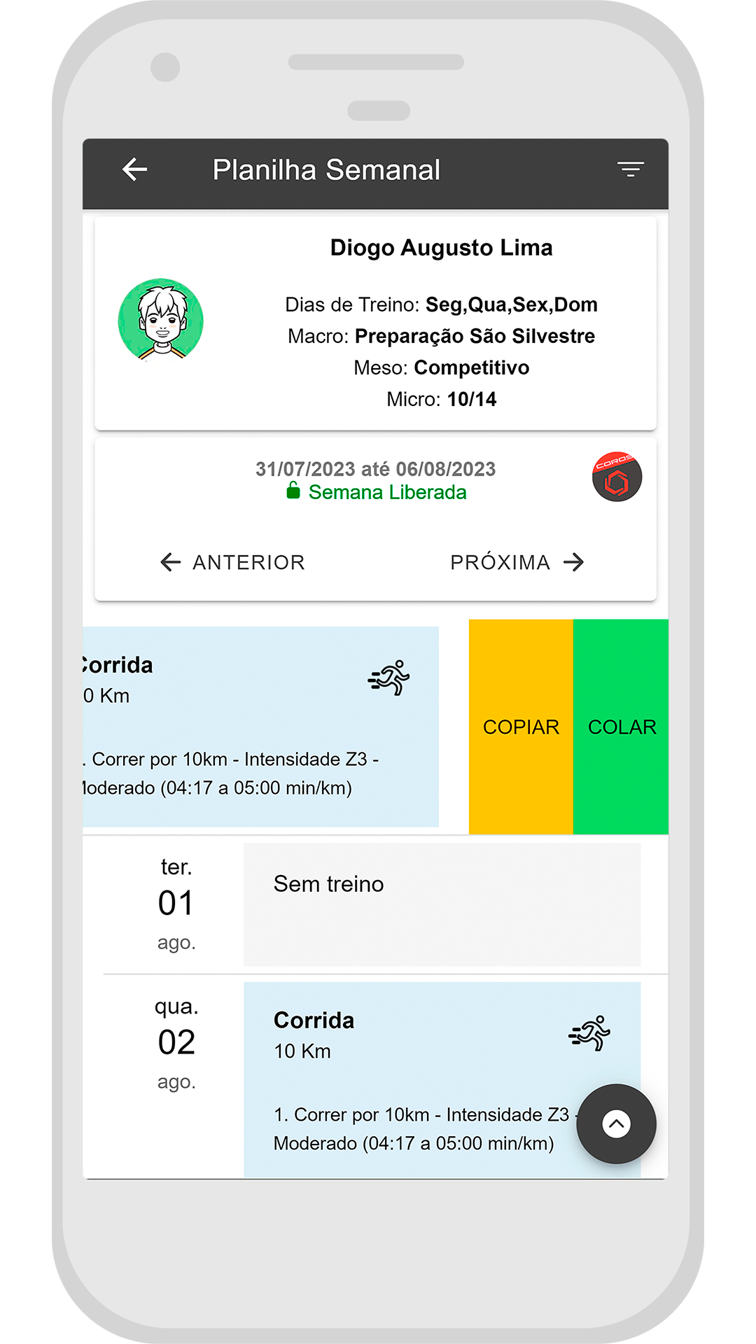 ex-copiar-colar-app-coach.png